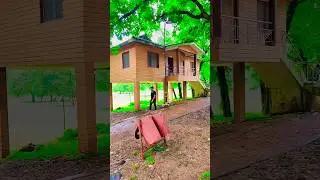 Tree house betla 💖betla national park&hearts;️बेतला राष्ट्रीय उद्यान #betlanationalpark #jharkhand #palamu