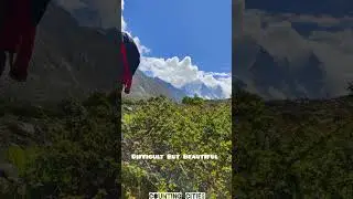 Part 6 | Most Difficult Trek In India | Gangotri To Tapovan | #tapovan #gangotri #uttarakhand #asmr