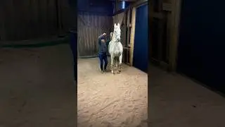High Collected Movements for Deep Bonding, Inner Brilliance, & Horse Empowerment!❤️🌟💃🤸🏼&zwj;♀️⚖️💪🏻