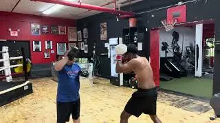 Mitt work #boxingologyacademy #boxingmitts #boxingpads 