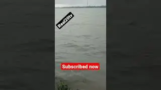pani pani song ll assamflood #assamflood ll#panipanisongs