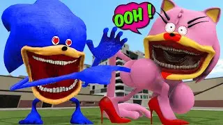 WHAT HAPPENS WHEN SHIN SONIC TAPES TROLL SHIN SONIC LOVE AMY XXL TAPES IN GARRYS MOD!