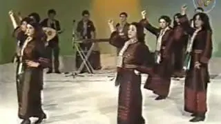 في كل بيت عرس - العاشقين