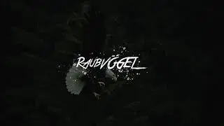 Atures feat. Rekin - Raubv&ouml;gel