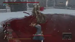 Killing Arlecchino with every weapon #45 (Proof of Humanity)