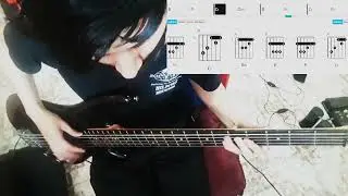 Amigos Traigan Cerveza-COVER BAJO