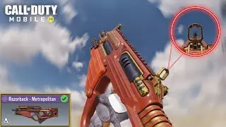 RAZORBACK BEST GUNSMITH IN CODM
