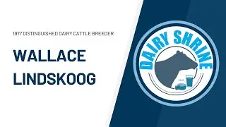 1977 Distinguished Dairy Cattle Breeder - Wallace N. Lindskoog