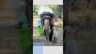 Elephant ke Sath Cb Photo Editing || Full Hd photo editing #editing #youtubeshorts #picsart #shorts