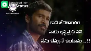 Ntr(28)