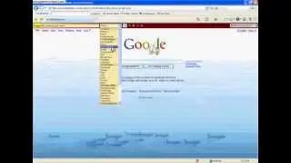 Google Disaster 2