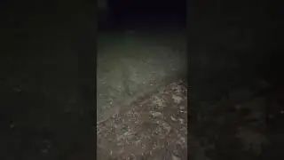 Heavy Hailstorm @nature