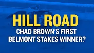 Will HILL ROAD Be Chad Brown's First Belmont Stakes Winner?