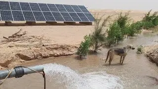 ارض لبيع سعر الفدان ٣٠ الف طاقه شمسيه قريبه من مدينه الخارجه الوادي الجديد ٠١٠٠٧٢٧٨٢٤٢