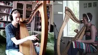 Celtic Harp Duo - Windbroke (Micheal McGoldrick) by Justyna Krzyżanowska and Romy Wymer