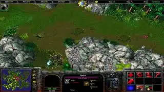 Warcraft 3: TFT [Custom] #50 Natural Selection 1.4 - Přemnožen&yacute; Smajlo