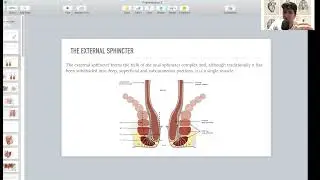 Anal Canal: Part 1 - General Surgery Course (4th + 6th Stages)