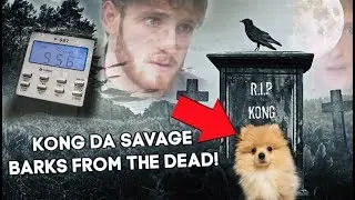 R.I.P Kong Da Savage **BARKS FROM THE DEAD** REAL UNREAL!!