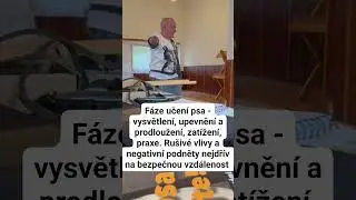 V&iacute;kend s modern&iacute;m tr&eacute;ninkem psa podle Ps&iacute; bible pro každ&eacute;ho bez omezeni 👍 #psi #&scaron;těně #dogtraining 