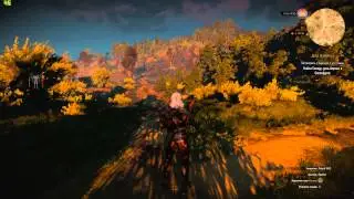 Тест The Witcher 3: Wild Hunt+FPS (Intel core i5 4570+GTX 770+8gb RAM)