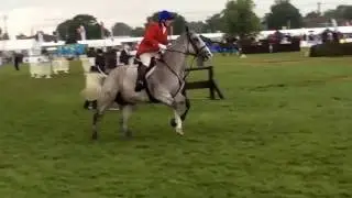 The Southdown & Eridge winning the 2016 Hunt Relay at the South of England Show !