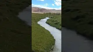 ladakh||changthang||shortsvideo
