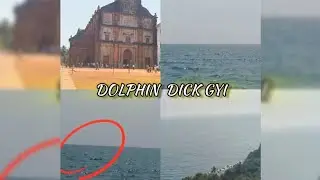 Goa Main Dolphin 😱 or Goa main ki Activities  🔥 /TRIPLE MUNDE VLOGS