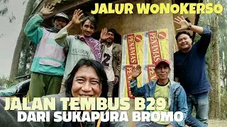 Jalan Tembus B29 Dari Sukapura Bromo  // Jalur Wonokerso