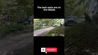 No grandstands. No VIP zones. Just pure forest rally chaos.v