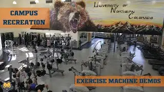 Lat Pulldown Machine Demo
