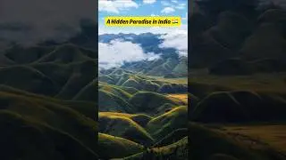 A hidden paradise in India 🇮🇳 Dzukou valley #dzukouvalley #nagaland #northeastindia