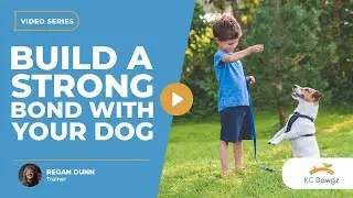 Expert Tips on How to Build a Strong Bond with Your Dog | KC Dawgz