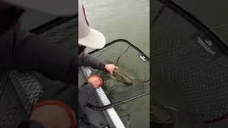 How to UnHook a Pike with Simon Torenbeek