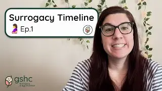 The Surrogacy Process and Timeline Ep.1 - Intake Process, Medical Screening, Legal Process