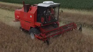 ŻNIWA 2023 | RZEPAK | BIZON REKORD | MTZ 82