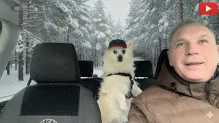 ПЕРЕСЕЛЕНЦЫ ДОНБАССА// ЧЕМУ ВЫ ЗАВИДУЕТЕ⁉️