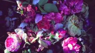 manuel thielen feat. Kartini - Mit Viel Liebe