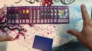 Yu-Gi-Oh! Chain Burn deck July 2020!