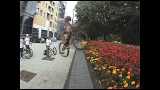 damon tarty ttl 2