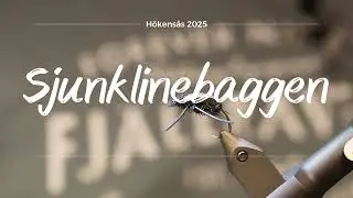 Sjunklinebaggen