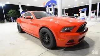 CROWD KILLER: 800HP Mustang Battles Corvettes & Mustangs ON THE STREET