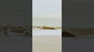 Balne&aacute;rio pi&ccedil;arras sc