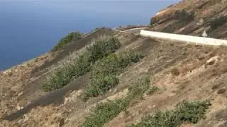 The Wild Figs of Santorini, Greece
