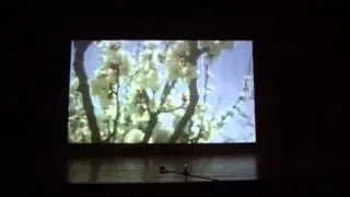 STOA Performance group - with credits