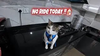 Why I Didn’t Ride Today 