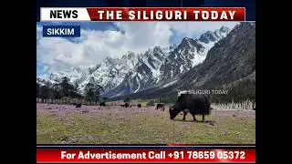 Sikkim Tourism Department Issues Advisory on Fraudulent Travel Agencies