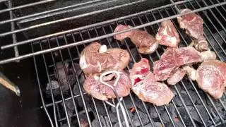 Antelope steaks