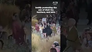 2023 Compilation of PETA Crashing Runways