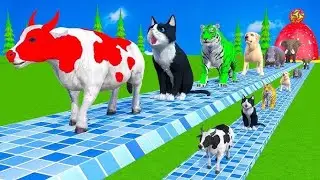 0Long Slide Game With Cow Elephant Gorilla Hippopotamus Tiger 3d Animal Game0..42