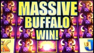 ★MASSIVE BUFFALO WIN!★ HUGE STAMPEDE ON WONDER 4 BUFFALO Slot Machine Bonus (Aristocrat)